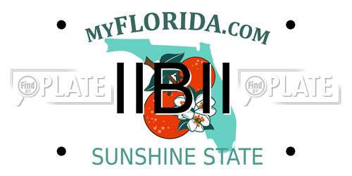 IIBII Florida License Plate