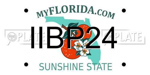 IIBP24 Florida License Plate