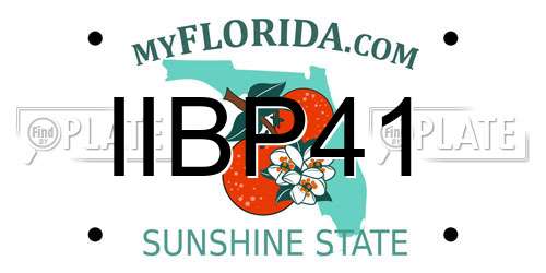IIBP41 Florida License Plate