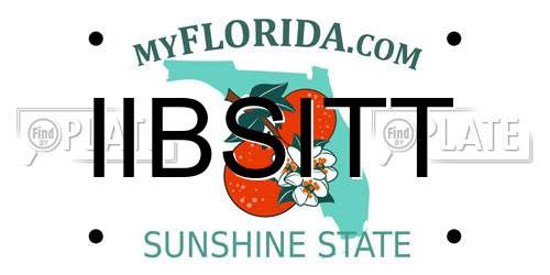 IIBSITT Florida License Plate