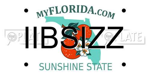 IIBSIZZ Florida License Plate