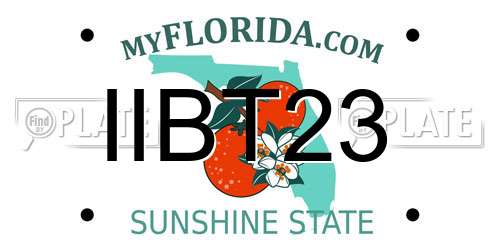 IIBT23 Florida License Plate
