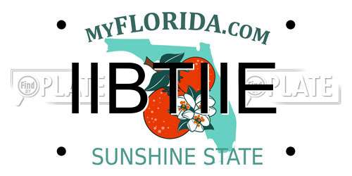IIBTIIE Florida License Plate