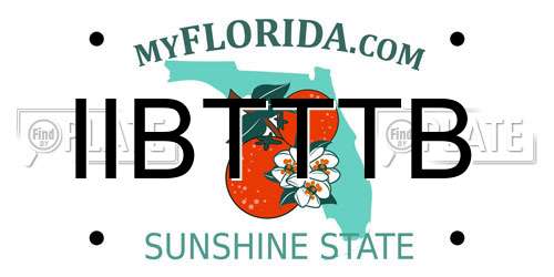 IIBTTTB Florida License Plate
