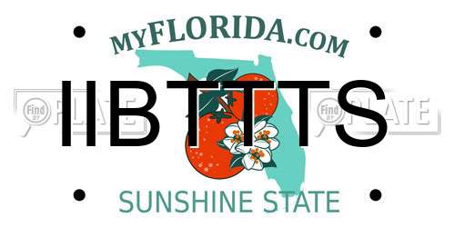 IIBTTTS Florida License Plate
