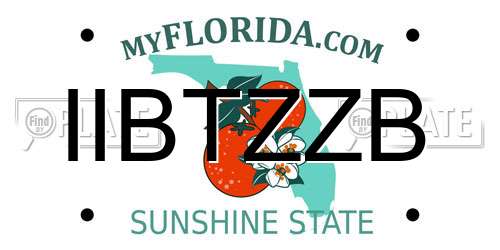IIBTZZB Florida License Plate