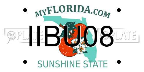 IIBU08 Florida License Plate