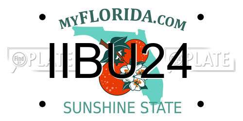 IIBU24 Florida License Plate