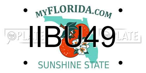 IIBU49 Florida License Plate