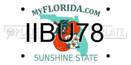 IIBU78 Florida License Plate