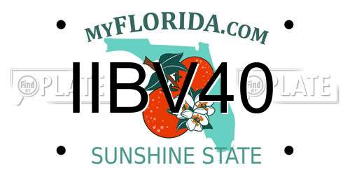 IIBV40 Florida License Plate