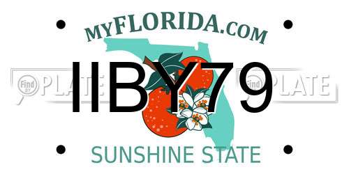 IIBY79 Florida License Plate