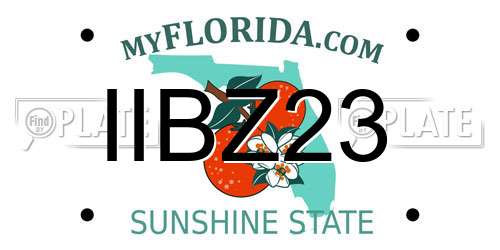IIBZ23 Florida License Plate