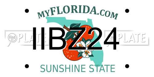 IIBZ24 Florida License Plate