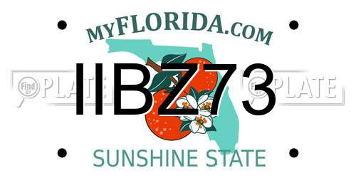 IIBZ73 Florida License Plate