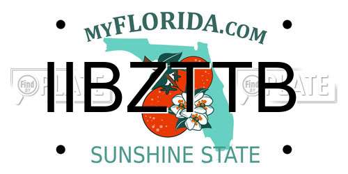 IIBZTTB Florida License Plate