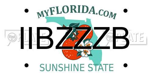 IIBZZZB Florida License Plate