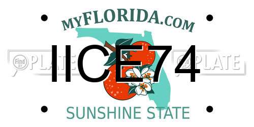 IICE74 Florida License Plate