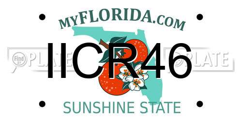 IICR46 Florida License Plate