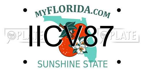 IICV87 Florida License Plate