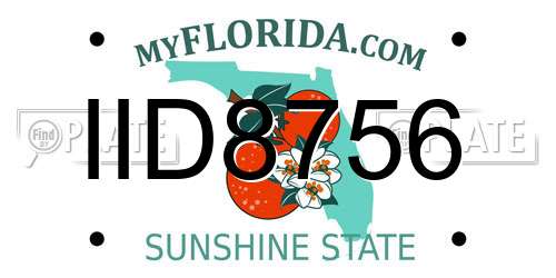 IID8756 Florida License Plate