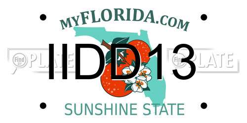 IIDD13 Florida License Plate
