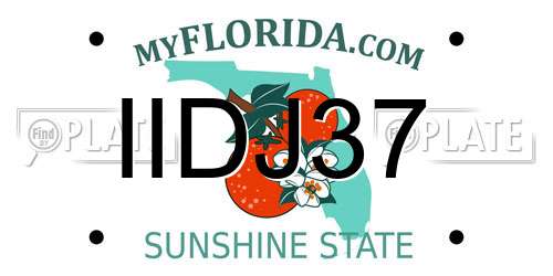 IIDJ37 Florida License Plate