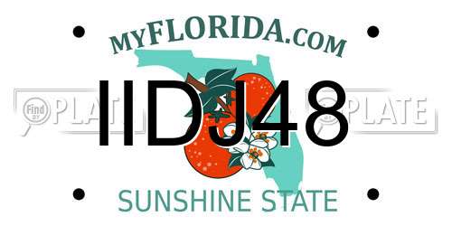 IIDJ48 Florida License Plate