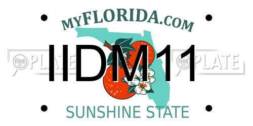 IIDM11 Florida License Plate