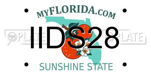 IIDS28 Florida License Plate
