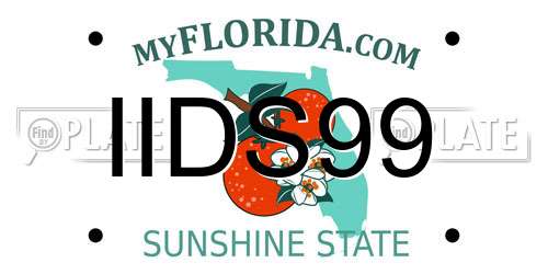 IIDS99 Florida License Plate