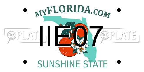 IIE07 Florida License Plate
