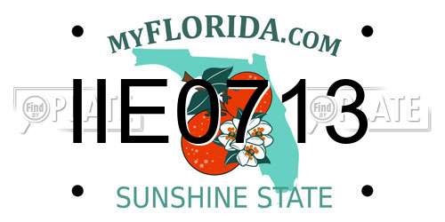 IIE0713 Florida License Plate