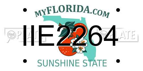 IIE2264 Florida License Plate