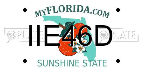 IIE46D Florida License Plate