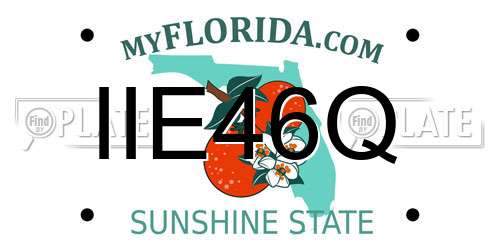 IIE46Q Florida License Plate
