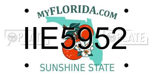 IIE5952 Florida License Plate