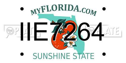 IIE7264 Florida License Plate