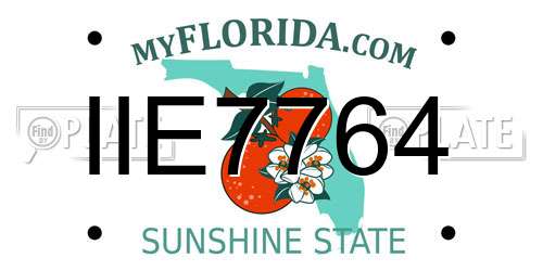 IIE7764 Florida License Plate