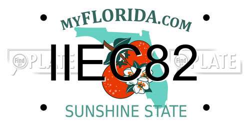 IIEC82 Florida License Plate
