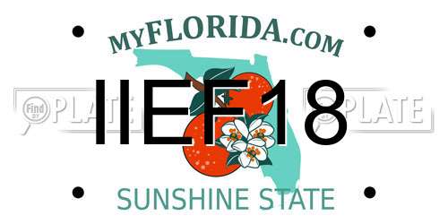 IIEF18 Florida License Plate
