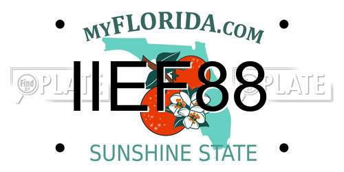IIEF88 Florida License Plate