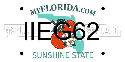 IIEG62 Florida License Plate