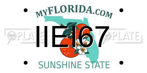IIEI67 Florida License Plate
