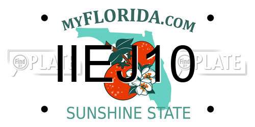 IIEJ10 Florida License Plate