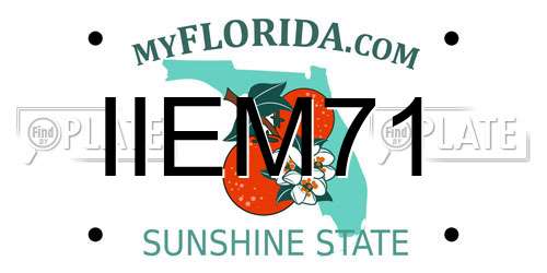 IIEM71 Florida License Plate