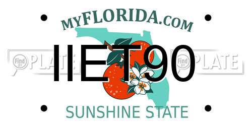 IIET90 Florida License Plate