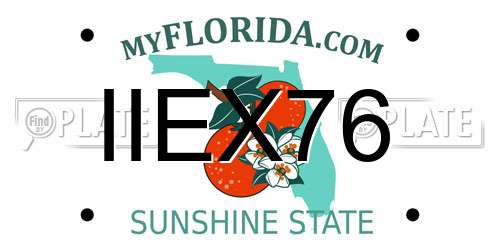 IIEX76 Florida License Plate