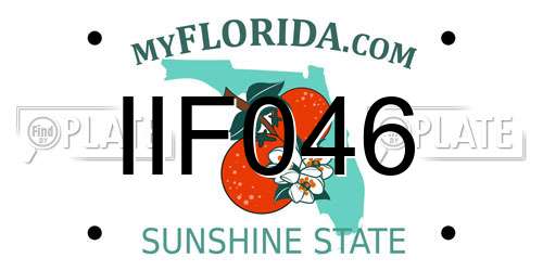 IIF046 Florida License Plate