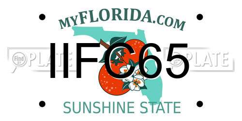 IIFC65 Florida License Plate